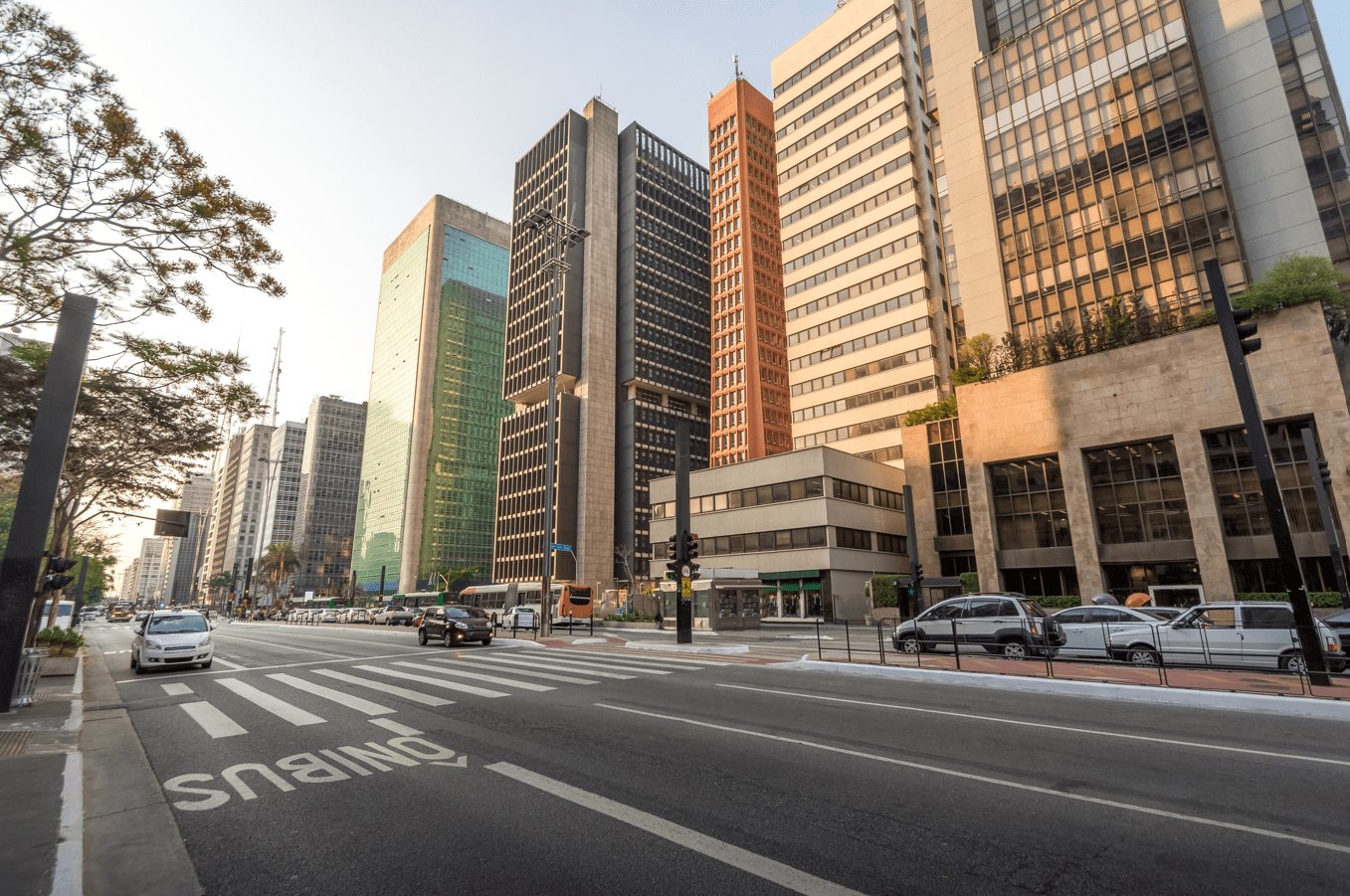 Descobrindo a cidade passo a passo: celebremos a experiência de andar a pé por São Paulo!